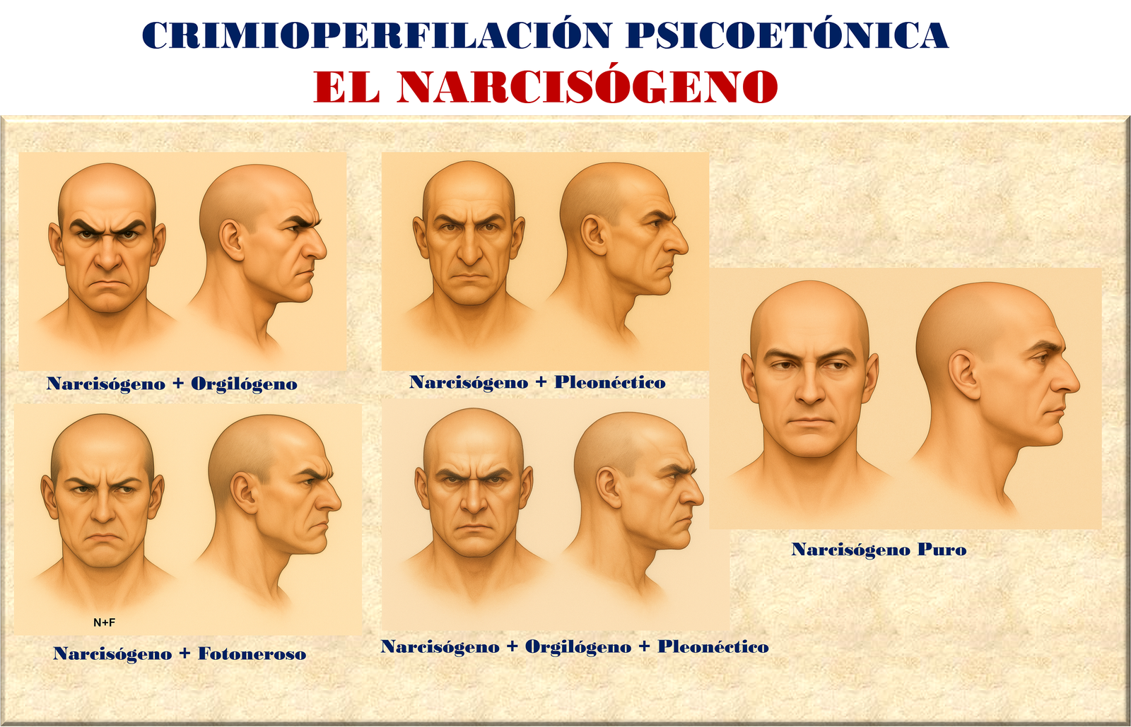 Crimiotipología Psicoetónica: el Narcisógeno